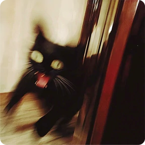 Стикер 48 из набора Котаны