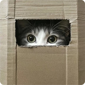 Стикер 56 из набора Котаны