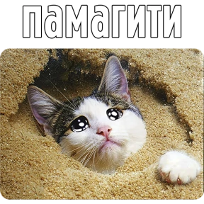 Стикер 60 из набора Котаны