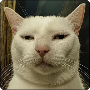 Стикер 63 из набора Котаны