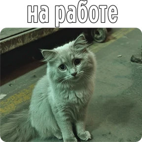 Стикер 68 из набора Котаны