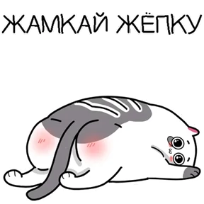 Стикер 24 из набора Котэ