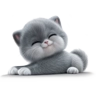 Обложка набора Котёнок