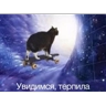 Обложка набора Котике