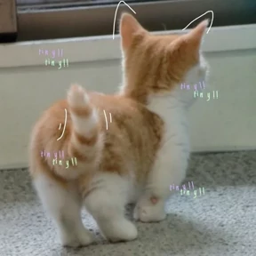Стикер 81 из набора Котики 3
