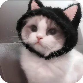 Стикер из набора Котики в шапочках