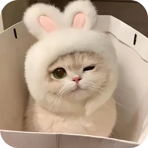 Стикер из набора Котики в шапочках