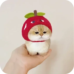 Стикер из набора Котики в шапочках