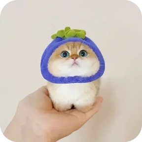 Стикер 3 из набора Котики в шапочках