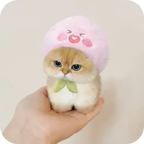 Стикер 6 из набора Котики в шапочках