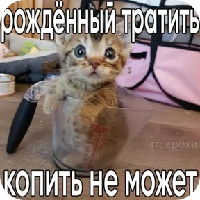 Стикер из набора Котные мемесы