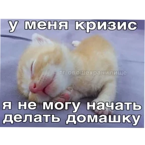 Стикер 7 из набора Котные мемесы