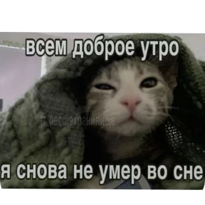 Стикер 10 из набора Котные мемесы
