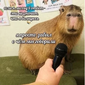 Стикер 11 из набора Котные мемесы