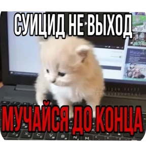 Стикер 15 из набора Котные мемесы