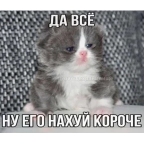Стикер 16 из набора Котные мемесы