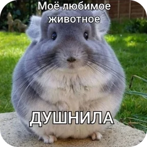 Стикер 18 из набора Котные мемесы