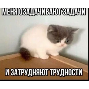 Стикер 20 из набора Котные мемесы