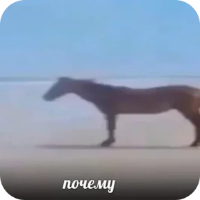 Стикер 21 из набора Котные мемесы