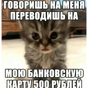 Стикер 22 из набора Котные мемесы