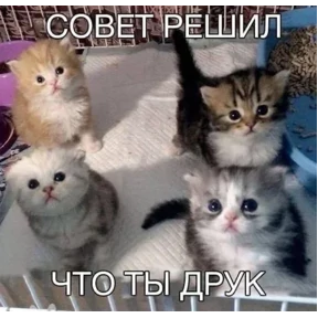 Стикер 23 из набора Котные мемесы