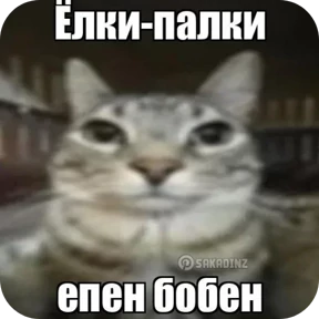 Стикер 26 из набора Котные мемесы