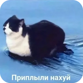 Стикер 32 из набора Котные мемесы