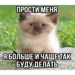 Стикер 34 из набора Котные мемесы