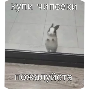 Стикер 39 из набора Котные мемесы