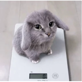 Стикер 6 из набора Котокролик