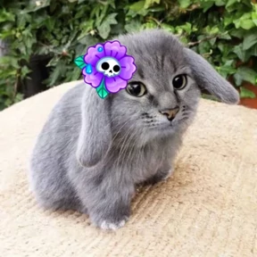 Стикер 9 из набора Котокролик