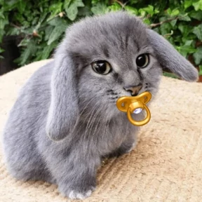 Стикер 11 из набора Котокролик