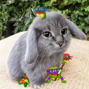 Стикер 13 из набора Котокролик