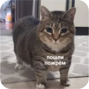 Стикер из набора Котопак