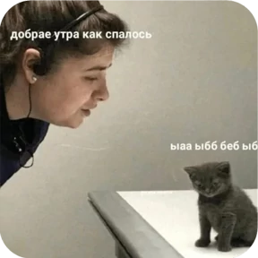 Стикер из набора Котопак