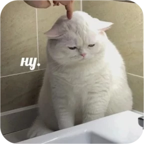 Стикер 6 из набора Котопак