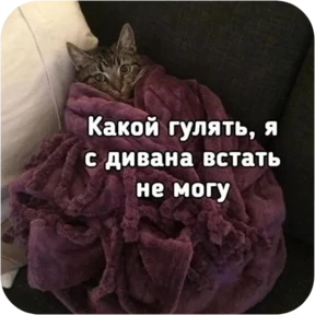 Стикер 7 из набора Котопак