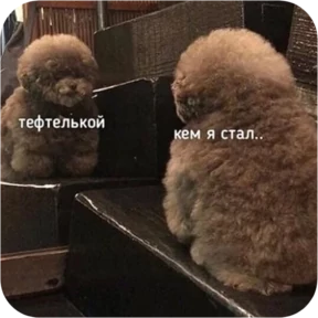 Стикер 8 из набора Котопак