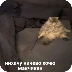 Стикер 9 из набора Котопак