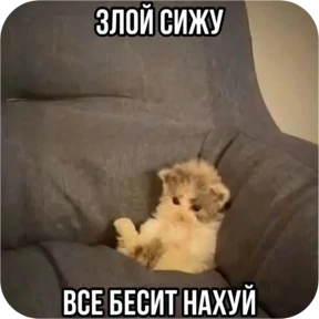 Стикер 10 из набора Котопак