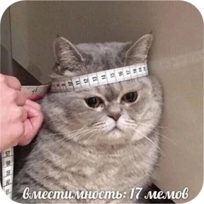 Стикер 11 из набора Котопак