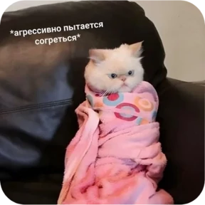 Стикер 12 из набора Котопак