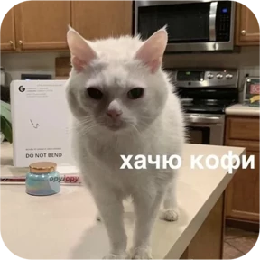 Стикер 13 из набора Котопак