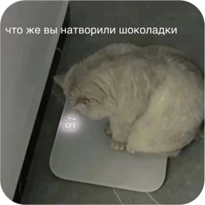 Стикер 14 из набора Котопак