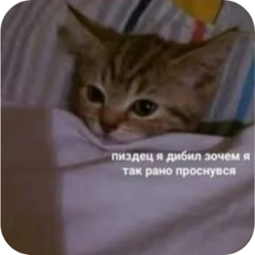 Стикер 15 из набора Котопак