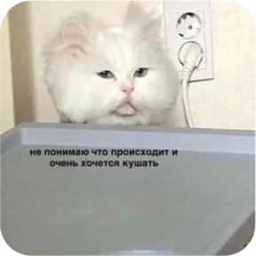 Стикер 16 из набора Котопак