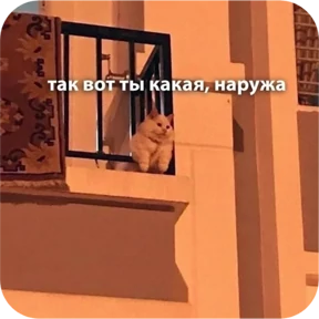 Стикер 17 из набора Котопак