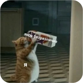 Стикер 19 из набора Котопак