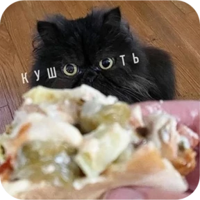 Стикер 20 из набора Котопак