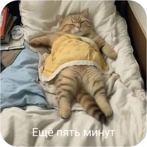 Стикер 21 из набора Котопак